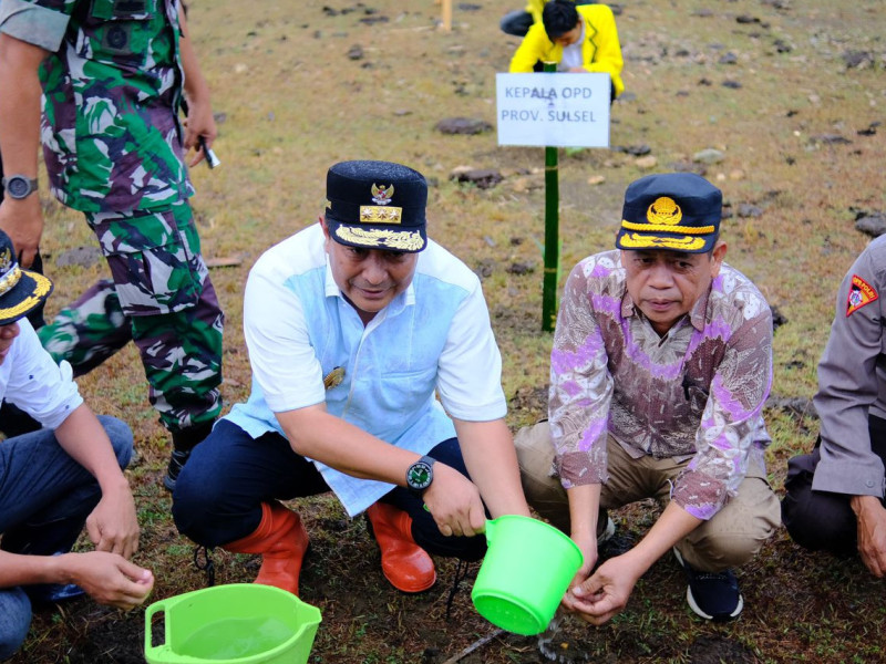 Budidaya Pisang, Pj Gubernur Sulsel dan Rektor IAIN Bone Tanam 1000 Pohon di Kampus